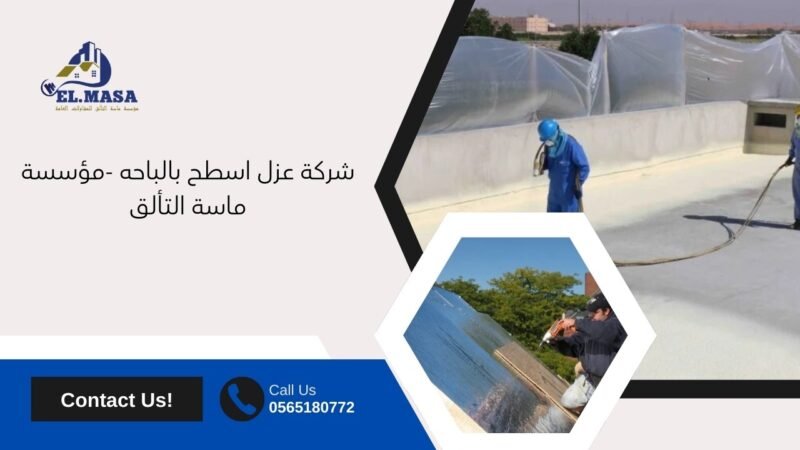 شركة عزل اسطح بالباحه