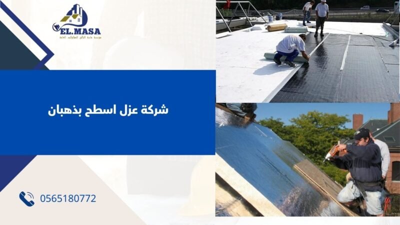 شركة عزل اسطح بذهبان