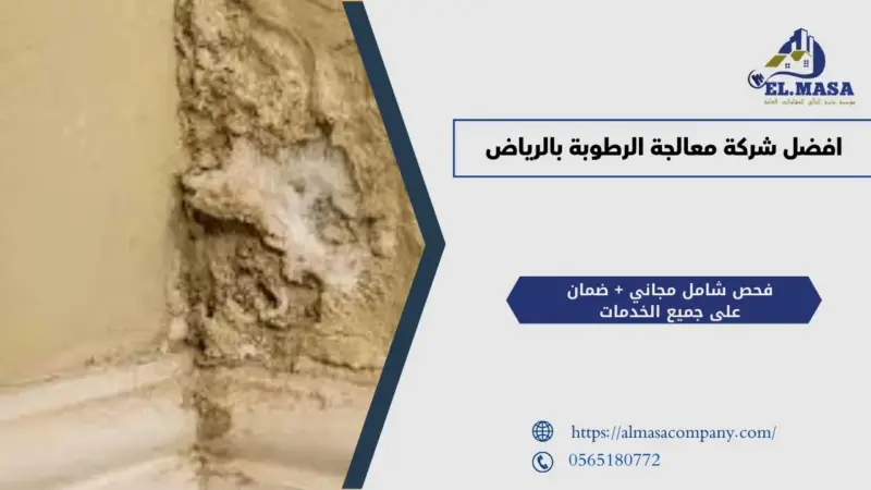 افضل شركة معالجة الرطوبة بالرياض
