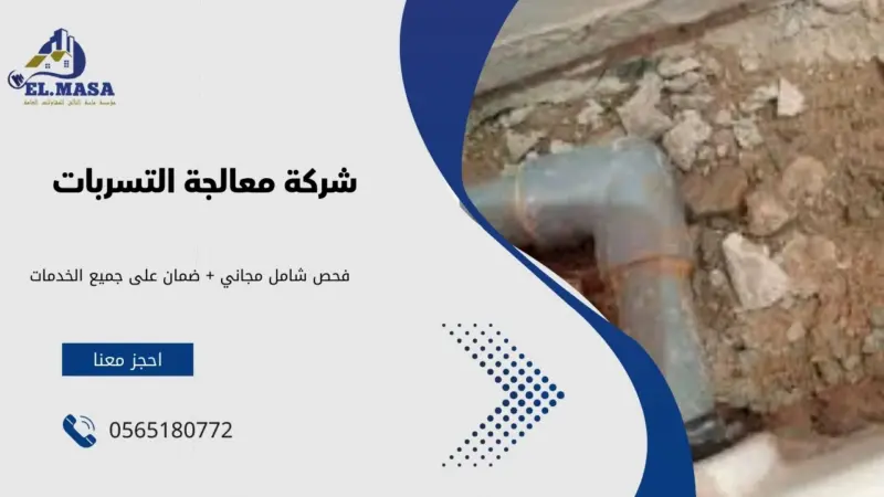 شركة معالجة التسربات