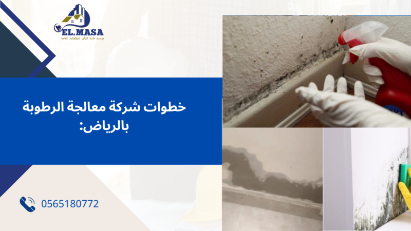 شركة معالجة الرطوبة بالرياض