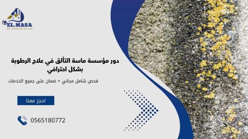 علاج الرطوبة فى الحوائط